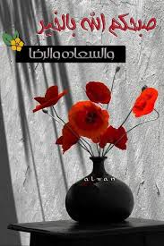 تحيات صباحية beautiful flower arrangements beautiful flowers good morning