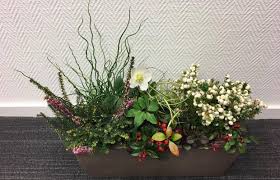 Réaliser une jardinière en période hivernale est un exercice très intéressant, car cela permet d'apprécier la beauté des plantes à feuillage. Une Jardiniere En Hiver Pour Decorer Votre Maison