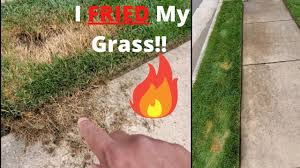 What should i use on my buffalo lawn? I Burned My Grass Using Scotts Weed Feed Fertilizer Burn Youtube