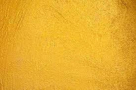 We did not find results for: 100 000 Best Yellow Background Photos 100 Free Download Pexels Stock Photos