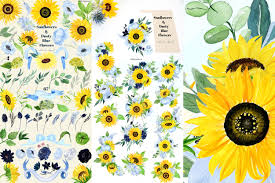 Dusty blue white navy roses sola wood bride bridal bouquet wedding flowers. Sunflowers Dusty Blue Flowers Watercolor Clipart Boho By Labfcreations Thehungryjpeg Com