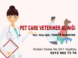 Istanbul Veteriner Klinikleri