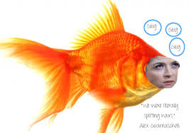 Fish Alex Guarnaschelli From Chopped Glug Glug Glug Goldfish Animal Facts Fun Facts About Animals
