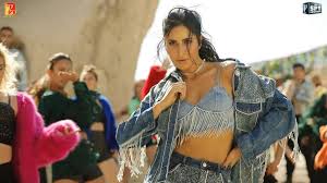 Katrina Kaif decodes how Zoya in Tiger 3 is different from Ek Tha Tiger,  Tiger Zinda Hai