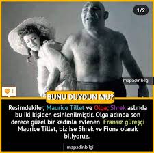 Genelkultur Ilgincbilgiler Mapaydinbilgi Bilgi Shrek Shrek Gercekler Ve Ikiz