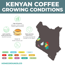 Key exports such as tea, coffee, and floriculture require little or no processing. Kenyan Coffee Guide Buying And Brewing Tips