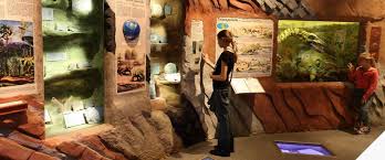 The Latvian Museum Of Natural History Is The Largest And One Of The Oldest Complex Museums Of Natural His Nature Museum Natural History Environmental Education