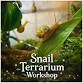 Snail Terrarium Workshop event in Corning, NY