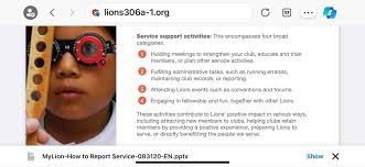 Wear Lions gear to promote club visibility