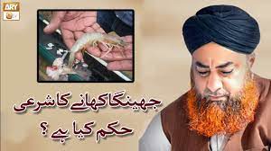 397 and 398, hadith 1 of chapter 8, the chapters on foods and drinks. Quick Answer Is Prawn Halal In Islam Voip