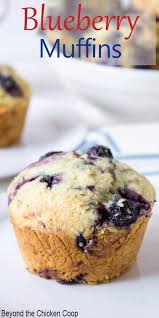 blueberry muffins recipe blueberry recipes best breakfast recipes blue berry muffins