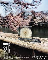 pin by 夢天涯設計事務所on 夢天涯蒲公英冰磚 crafts wood texture