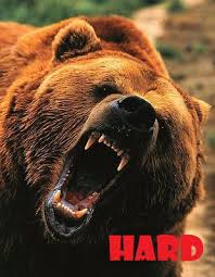 Is (finance|transitive) to endeavour to depress the price of, or prices in or bear can be to support or sustain; Easy Bear Hard Bear A Look At The 2018 Ucla Football Schedule Bruins Nation