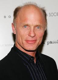 Mina favorit skalliga killar