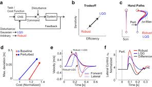 Where do flexion and extension movements take place? Robust Control In Human Reaching Movements A Model Free Strategy To Compensate For Unpredictable Disturbances Journal Of Neuroscience