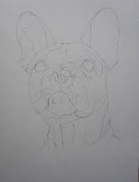 Bonjour A Tous Le Portrait Du Jour Est Un Petit Fusain De La Jolie Gotcha Bouledogue Francais Que Noelle M A Commande Pour Offrir A Tekenen