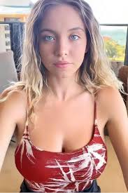 Santa Cruz Skateboard Collectors