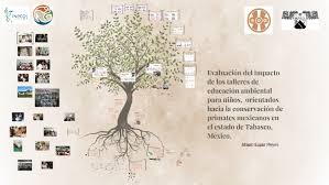 Aula magna da facultade de química, campus sur, santiago de compostela actividades: Evaluacion Del Impacto De Los Talleres De Educacion Ambiental By Ahlem Esper