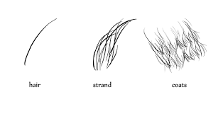 Sketch Animal Fur How To Draw Fur Animal Drawings Drawings