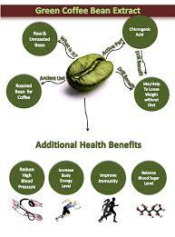 Green Coffee Bean Extract Visual Ly Green Coffee Green Coffee Bean Coffee Beans