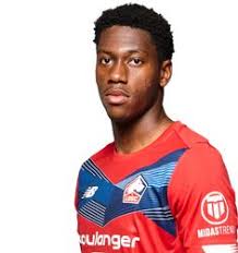 Maybe you would like to learn more about one of these? 280 Idees De Losc Foot Lille En 2021 Losc Lille Losc Lille
