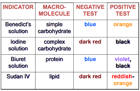 benedicts reagent colour change related keywords