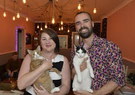 The first permanent michigan cat cafe, the catfé lounge is a different take on the cat cafe concept. Eastbourne S First Ever Cat Cafe Opens Here S What It S Like Eastbourne Herald