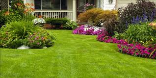 The average lawn mowing cost is around $61 for a professional mowing services, but the exact price will depend on where your home is as well as the total size of your lawn. How Much Do Gainesville Landscape Services Cost The Masters Lawn Care