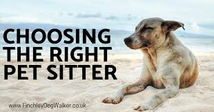 First time looking for a pet sitter and not sure where to start? How To Choose The Right Pet Sitter Choosing Pet Sitter When Going Away