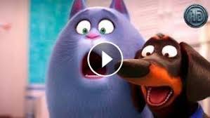 тайная жизнь домашних животных 2 смотреть онлайн на русском Multfilm Tajnaya Zhizn Domashnih Zhivotnyh 2 Russkij Trejler 4 2019