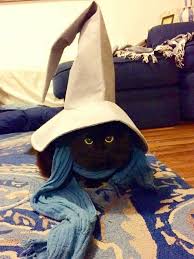 Vivi The Black Cat Mage The Cutest Kitty Of All Video Game And Final Fantasy History Magic Cat Black Mage Cats