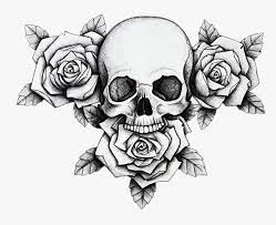 Maybe you would like to learn more about one of these? Skull Flower Rose Dead Skull And Rose Drawing Hd Png Download Transparent Png Image Pngitem
