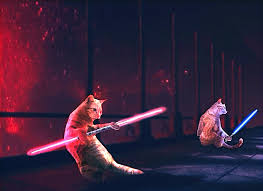 Feel good fix | jedi cat. R Photoshopbattles Lightsaber Cat Duels Album On Imgur