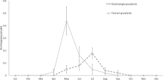 Image result for Brachystegia gossweileri