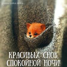 Картинки спокойной ночи среды и открытки на среду
