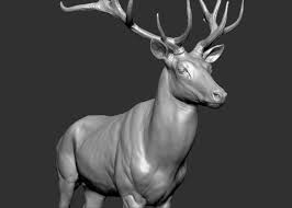 Reed Deer Stag Elk 3d Model Turbosquid 1403266 Deer Stags Deer Stag