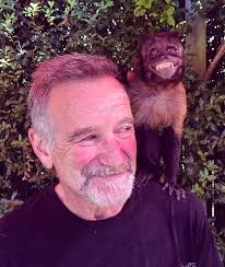 Yellowstone star Luke Grimes celebrated New Year's Eve by sharing his  first-ever Instagram photo of his newborn son. Luke, 40, welcomed his  little bundle of joy in October with his wife, the