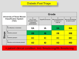 Image result for IDSA Diabetic Foot Wound Classification