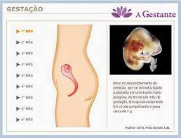 Primeiro Mes De Gravidez A Gestante