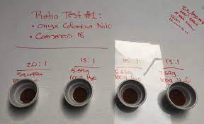 The Golden Ratio For Brewing Coffee Fellow