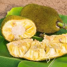 Learn what jackfruit tastes like, jackfruit recipes and more. Why Jackfruit Might Save The World