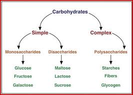 Carbohydrate Metabolism Medical Laboratory Science Carbohydrates Biology Medical School Studying