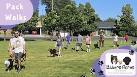 BAKERS ACRES K9 ACADEMY | Utah County's Family Dog Training