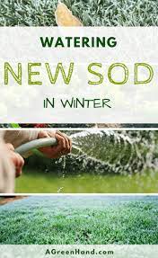 Are You Worried About The Survival Of Your Sods This Coming Winter Lawn Maintenance Varies Every Season Watering Winter Lawn Lawn Maintenance Lawn Care Tips