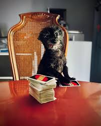 Vincent Marullo (@vmportraits813) · Instagram 照片和视频