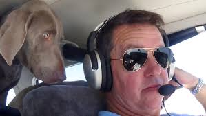 Photo: Pilots N Paws Pet Rescue Service