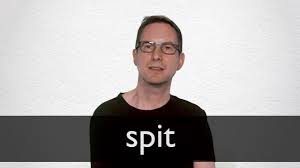 Spit Definition And Meaning | Collins English Dictionary