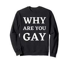 Amazon.com: Why Are You Gae Funny Interview Meme Why Are You Gay?  Sweatshirt : Clothing, Shoes & Jewelry