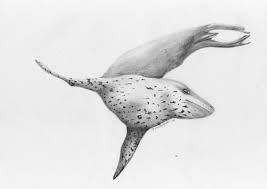 Learn to draw manga with my other website: Leopard Seal By Ippai Kinzoku Fur Affinity Dot Net