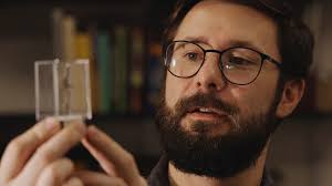 Did you know #spiders can also get infected by #parasites — anything from  parasitic fungi to parasitoid wasps? 🕷️ , There's a lot that the  scientific community still doesn't understand about how ...